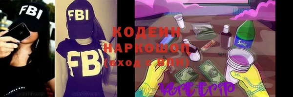 ECSTASY Ельня