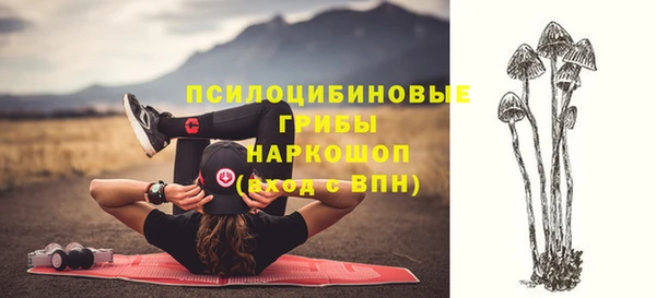 ГАЛЛЮЦИНОГЕННЫЕ ГРИБЫ Арсеньев