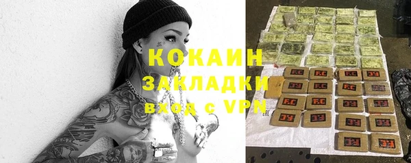 ГАЛЛЮЦИНОГЕННЫЕ ГРИБЫ Арсеньев